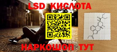 PSILOCYBIN Донской