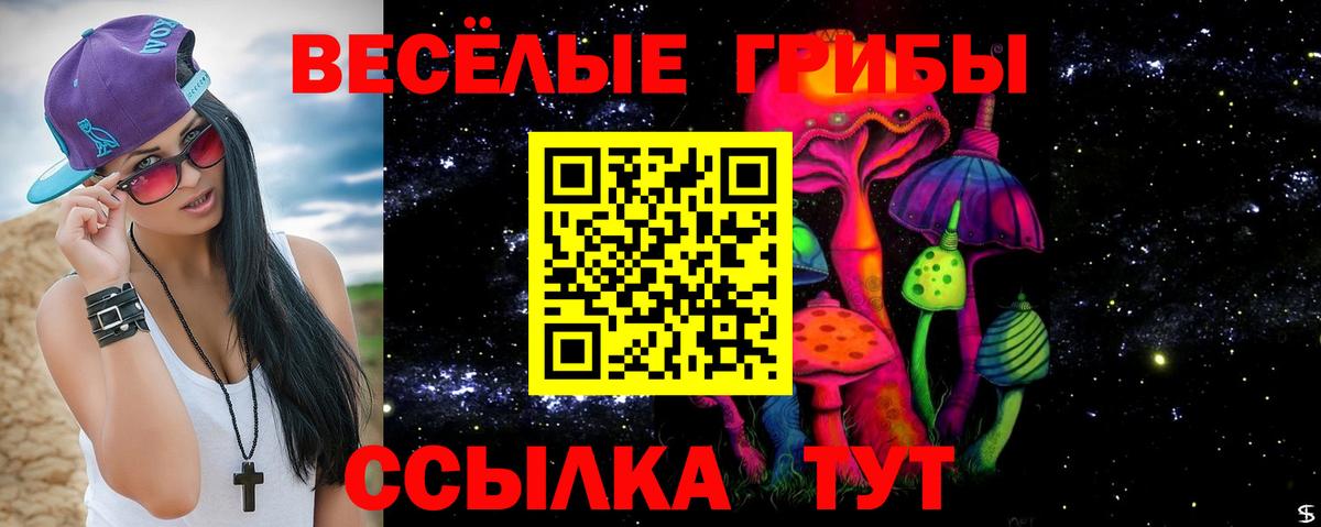 Псилоцибиновые грибы MAGIC MUSHROOMS Луга
