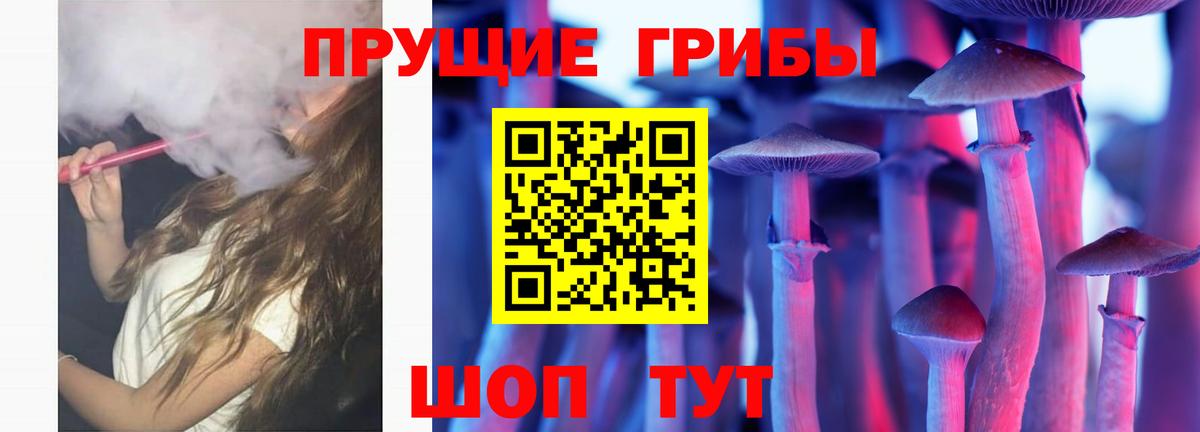 Луга  Псилоцибиновые грибы ЛСД  Вход с VPN 